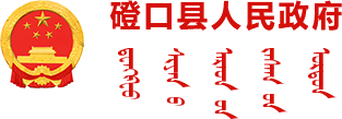 磴口縣人民政府logo